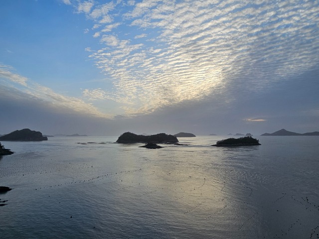 20260421_184415.jpg