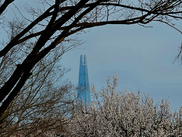20260329_161600.jpg