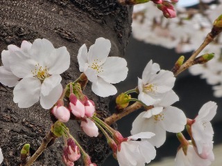 20260329_155439.jpg