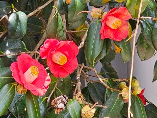 20260421_111945.jpg