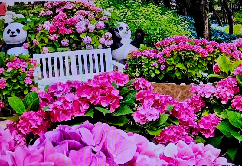 20260618_143943.jpg