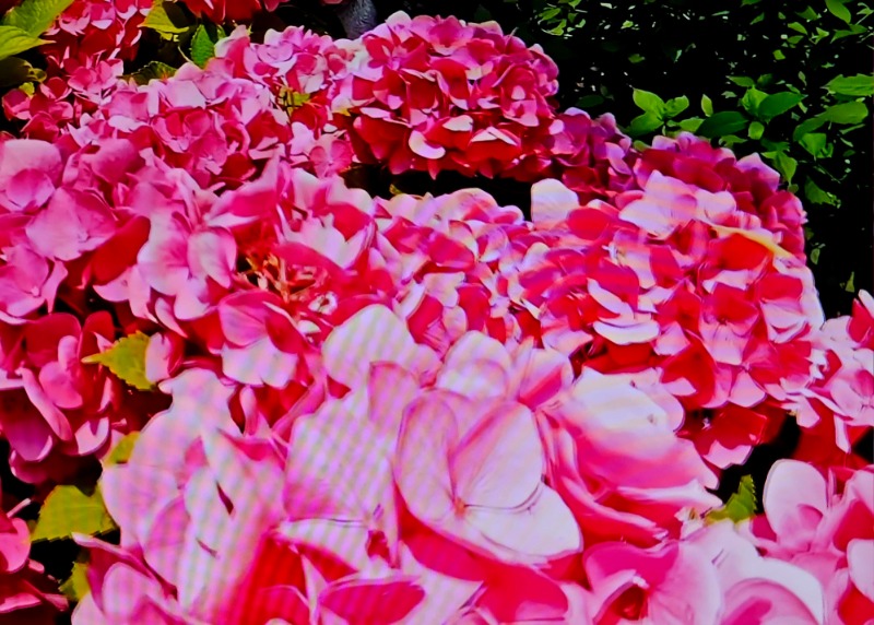 20260618_144006.jpg