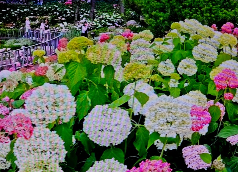 20260618_144207.jpg