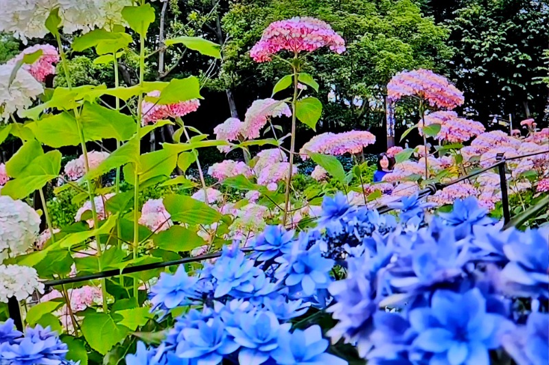 20260618_144230.jpg