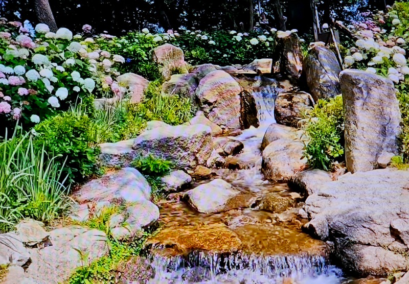 20260618_144259.jpg