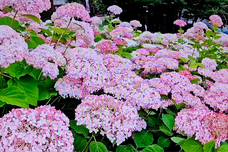 20260618_144306.jpg