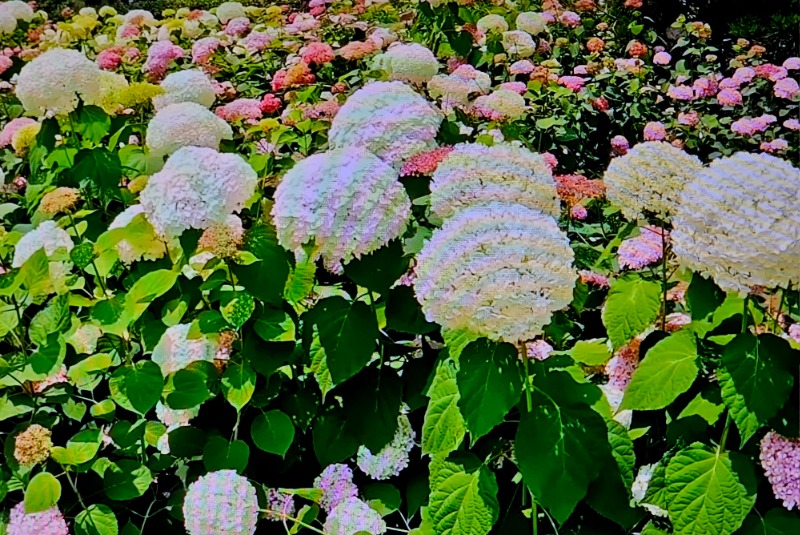 20260618_144338.jpg