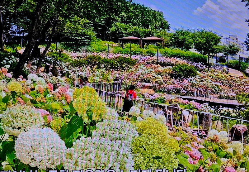 20260618_144406(0).jpg