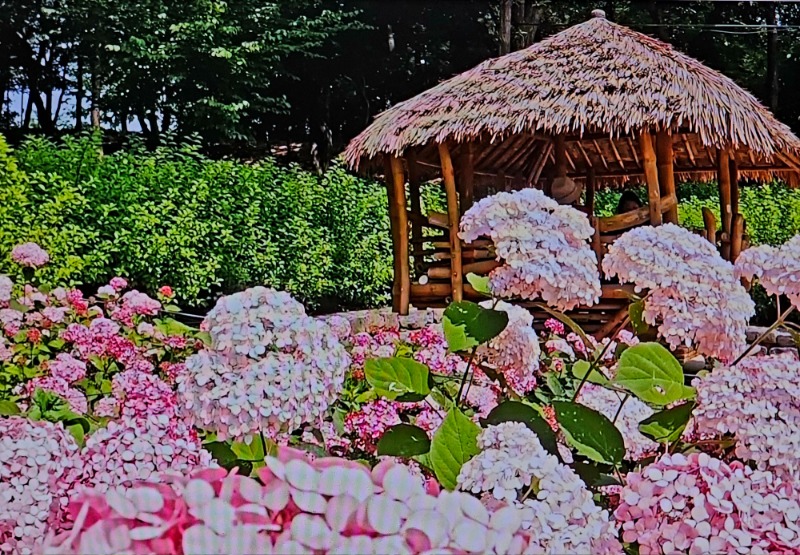 20260618_144410.jpg