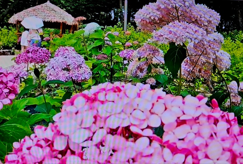20260618_144427.jpg